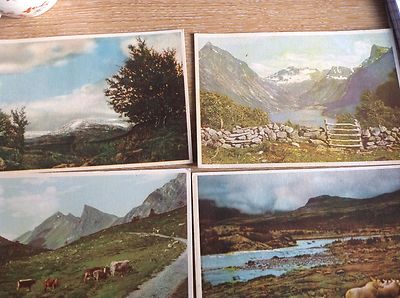 T2-1 Ansichtskarten x 4 Norwegen alte Ansichten Oye Seterbeite Sauer Hoyfjell