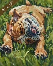 Bulldog rolling in the grass painting 8x10 Print