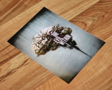 The Evil Within rara scheda di movimento 3D Playstation 3 4 Xbox One 360