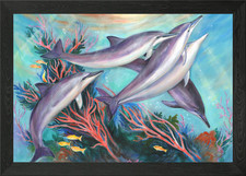 Dolphins in Coral Reef Framed Wall Art Poster Canvas Print Picture