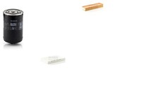 Inspektionspaket Filtersatz L MANN-FILTER Filtereinsatz Partikelfilter für AUDI