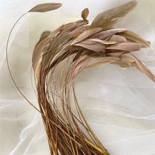 Stripped Coque Feather Millinery & Craft Fascinators Hat Feather 5/7" 69 Colours