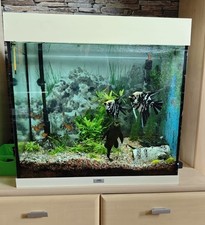 aquarium Juwel komplett 120 l