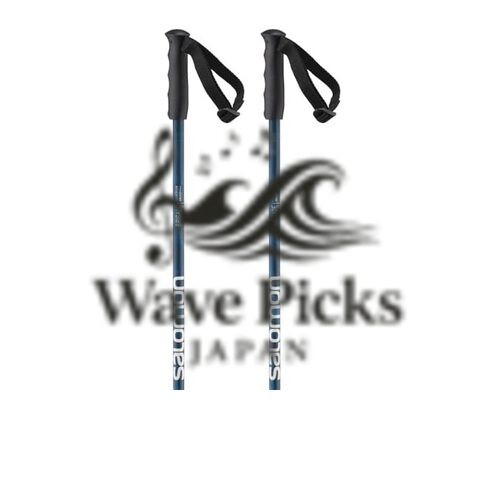 Bastoncini da sci Salomon Kid's Brigade JR blu 80