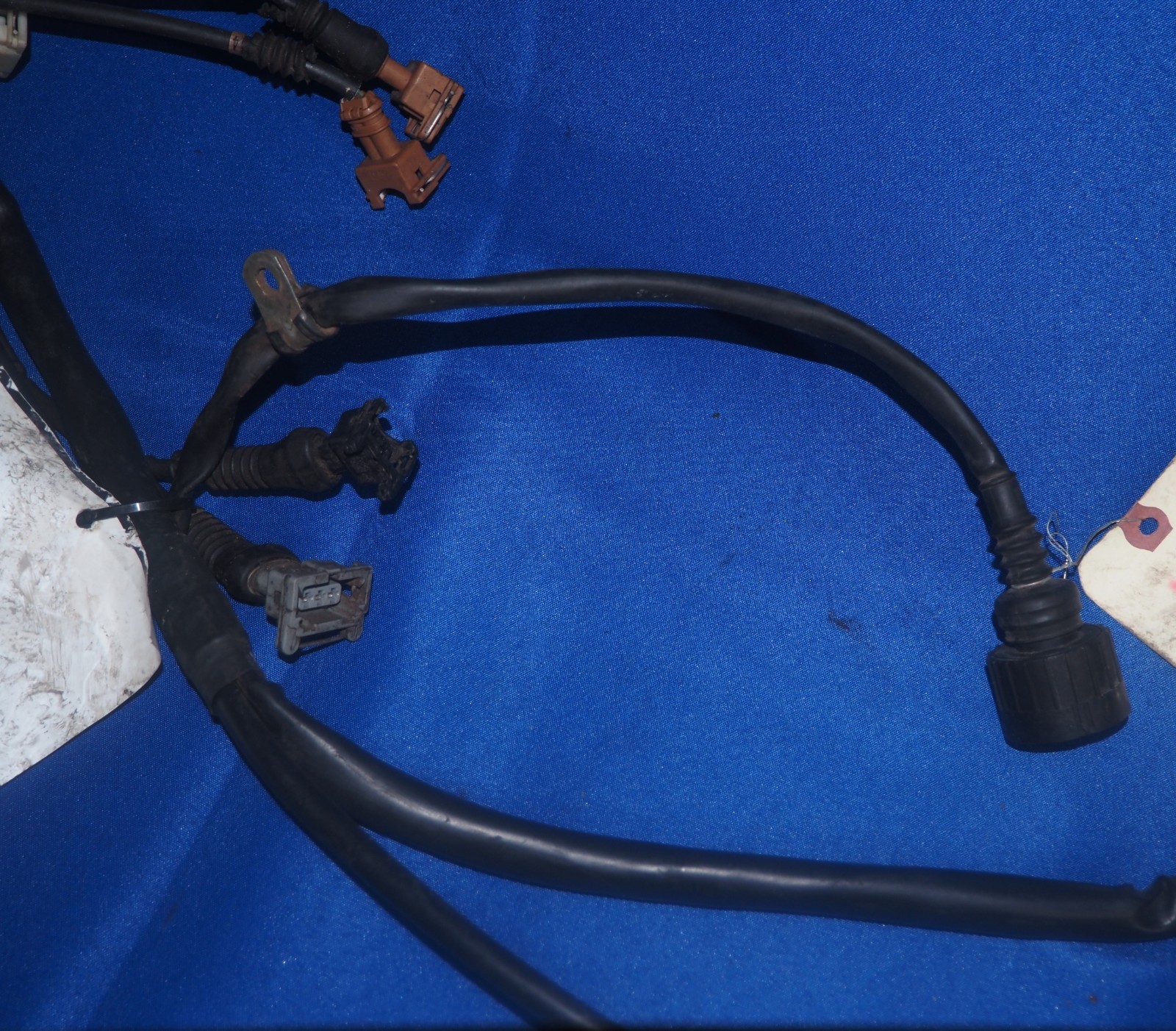 1996-1999 Ferrari F355 5.2 Motronic 3.5L V8 Engine Wiring Harness W/F1 Trans OEM