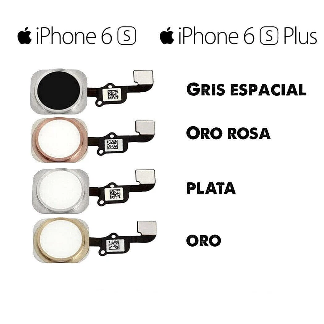 Imagen 6 de 11