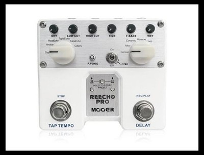 Mooer Reecho Pro Delay Pedal with Six delay types Good Condition from Japan