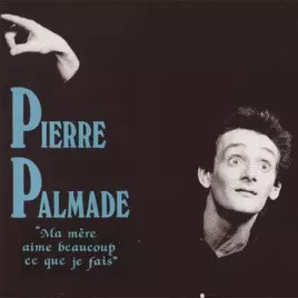 Ma Mère Aime Beaucoup Ce Que Je Fais (Morceaux Choisis) , Pierre Palmade