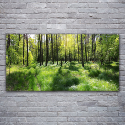 Acrylglasbilder Wandbilder aus Plexiglas  120x60 Wald Natur