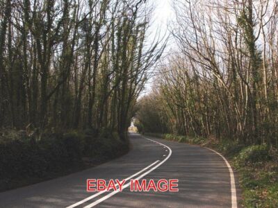 PHOTO KENNELS ROAD CANOPY OF TREES THE TREES PROVIDE A DARK TUNNEL