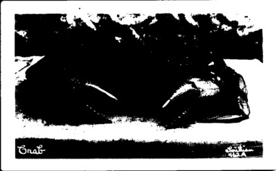 Vintage Postcard Vintage Crab Artistic Black White Graphic Illustration EDIT