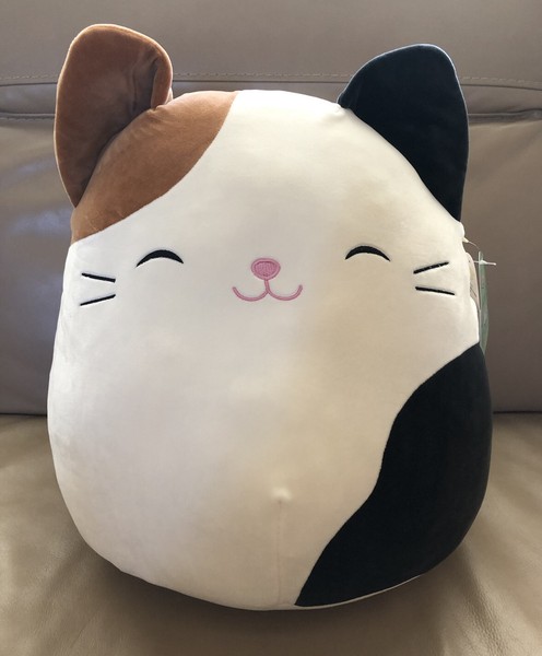 squishmallow cameron