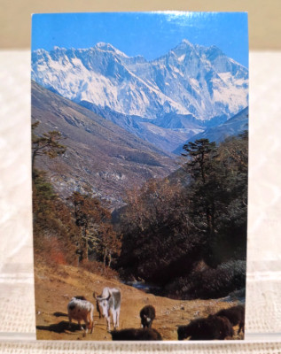 August 24, 1971 Everest Lho-Tse Nu-Tse Mountains Kathmandu Nepal Postcard Posted