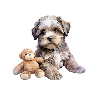 XXL Shih Tzu Auto Aufkleber Hunde Sticker