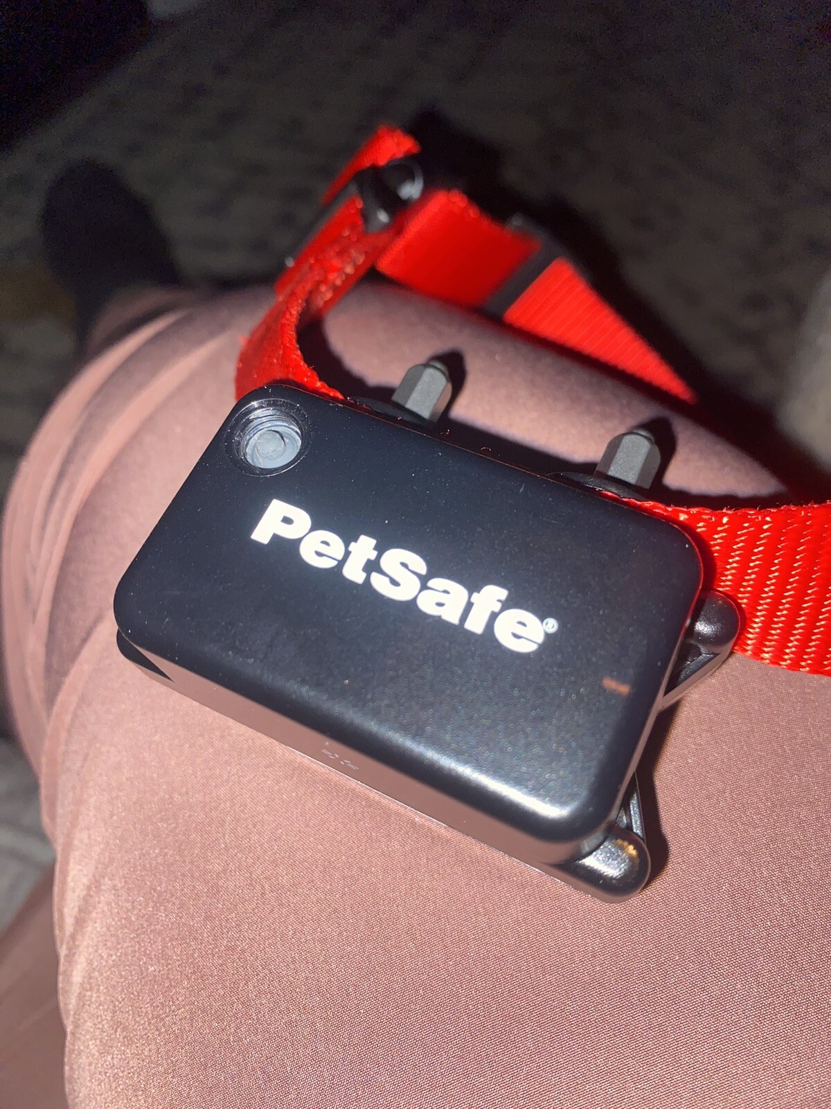 PetSafe RF27511 Stubborn Dog InGround Fence Receiver Collar 729849107564 eBay