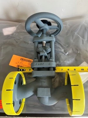 Phoenix 1'' Globe Valve AVF318-2 NPS-1 Flanged 300# A216-WCB Phonix Armaturen NEW