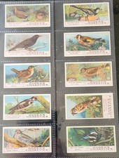 Ogdens, British Birds, Full Set of 50, Cards in Sleeves, issued 1905