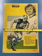 RARE 1970's Buffalo Bills WALT PATULSKI Buffalo News Original Poster Proof