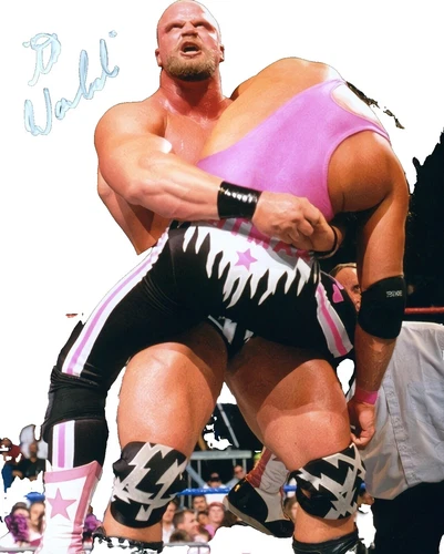 Bret Hart Wrestling Original Autographed Items