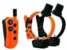  DT Systems Upland  R.A.P.T.   With Beeper  2 Dog Combo  RAPT1450