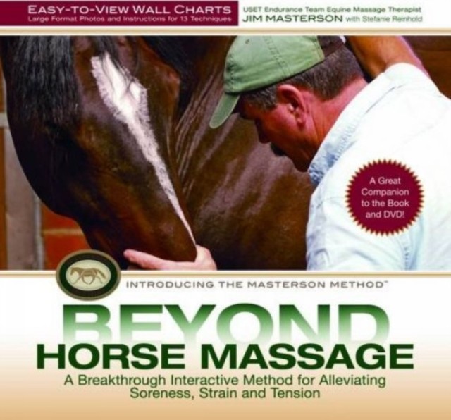 Beyond Horse Massage Wall Chart by Jim Masterton POSTER / WALLCHART