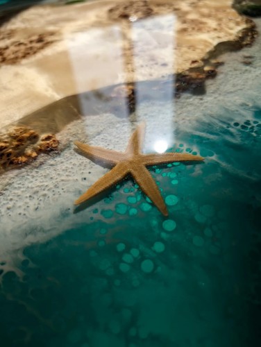 Resin Ocean Wave Coffee Table, Round Epoxy Wood Coffee Table Top, Live Edge Top - Picture 4 of 8