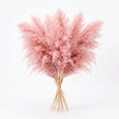 15 Pink Pampas Grass Stems 21'' Real Dried Flowers Boho Home Vase Decor, delicate