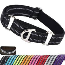 Martingale Dog Collar for Medium Dogs, No Pull Collar Training -Black L A