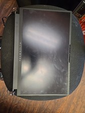 DELL ALIENWARE M17 R5 17.3 IPS FHD NONTOUCH 360HZ LCD SCREEN ASSEMBLY 01WFM HTL7