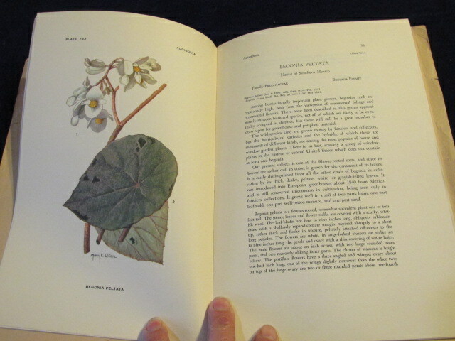 Vtg Color Botanical Prints 10 3/4x7