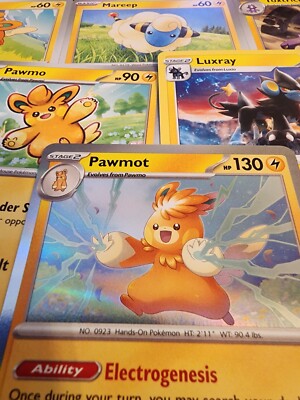 all electric type pokemon cards TCG Assortment Bundle Lightning Type Pokmon Cards
