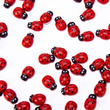 100 Mini wooden red ladybirds,  ladybugs craft card wood toppers embellishments