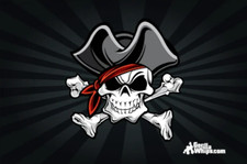 NWT Gorilla Whips Pirate Skull 3x5 Grommet Whip Flag