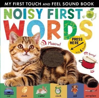 Libby Walden Noisy First Words (Kartonbuch) My First Touch and Feel Sound Book