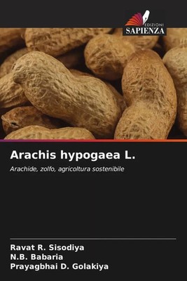 Ravat R. Sisodiya (u. a.) | Arachis hypogaea L. | Taschenbuch | Italienisch