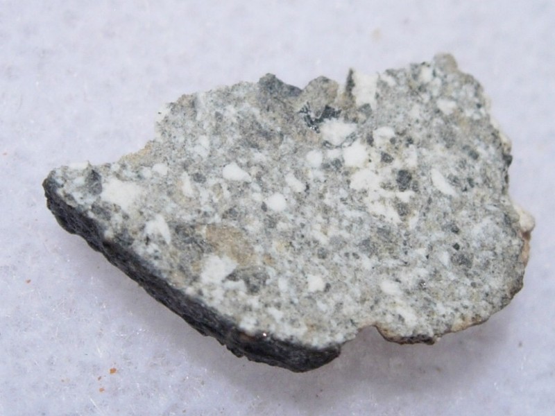 .345 grams NWA 6695 Meteorite Howardite slice fragment with a COA