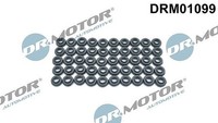 Dr.Motor Automotive Dichtung, Zylinderkopfhaubenschrauben U.A. FüR Chevrolet