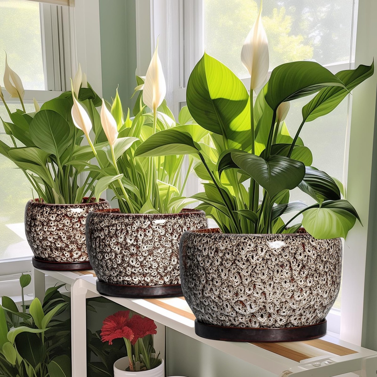 Ceramic Plant Pots - 6 Inch Ceramic Planter for Indoor Outdoor