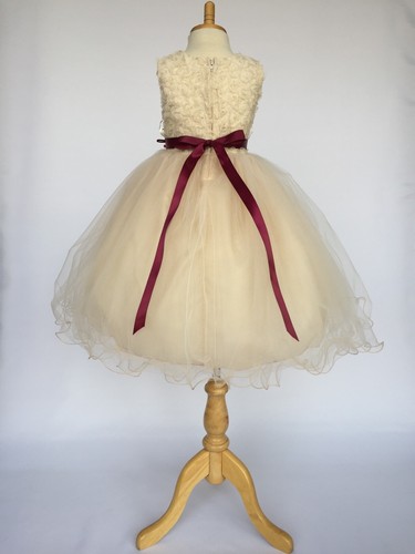 Floral Chiffon 2 Layer Tulle Flower Girl Dress Wedding Birthday Pageant Recital - Picture 18 of 25