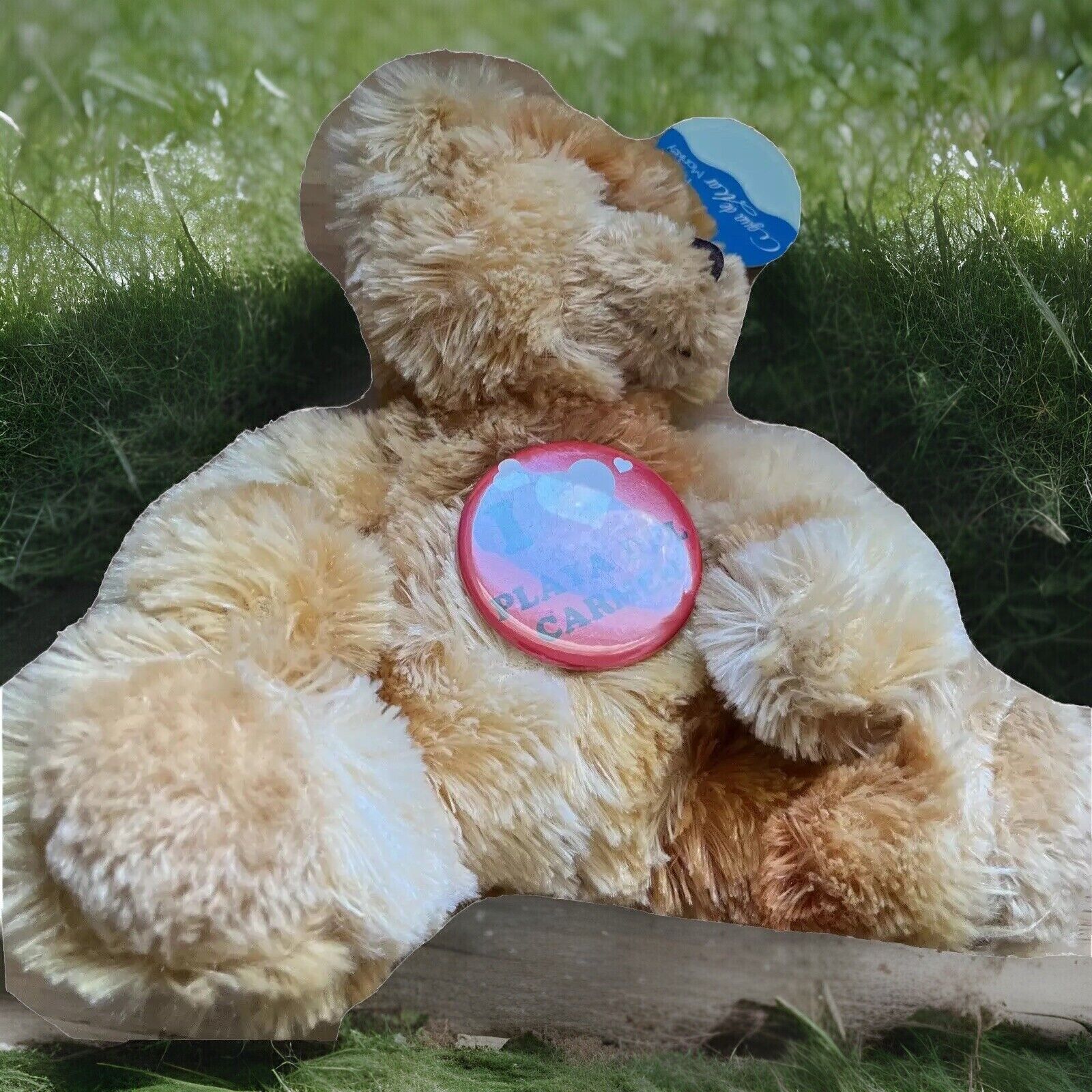Bild 11 von 12