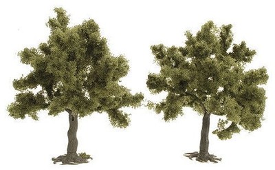 Agrumes, Palmiers rustiques et autres plantes exotiques – Pépinière Casse-Noisette