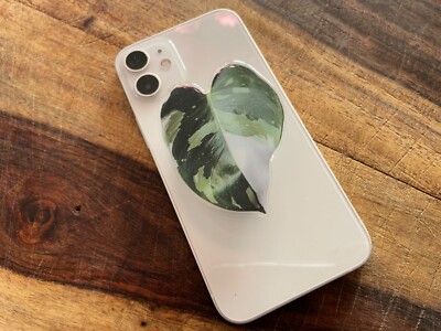 Rare Plant/Leaf Phone Grip  