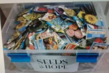 * 20 PACKETS OF SEEDS * YOU CHOOSE FROM FLOWER,HERB OR VEGETABLE SEEDS *