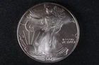 NobleSpirit GEM BU 2004 American Silver Eagle .999 1oz Light Toning