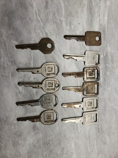Lot of 11 Vintage GM Car Keys General Motors Used Condition