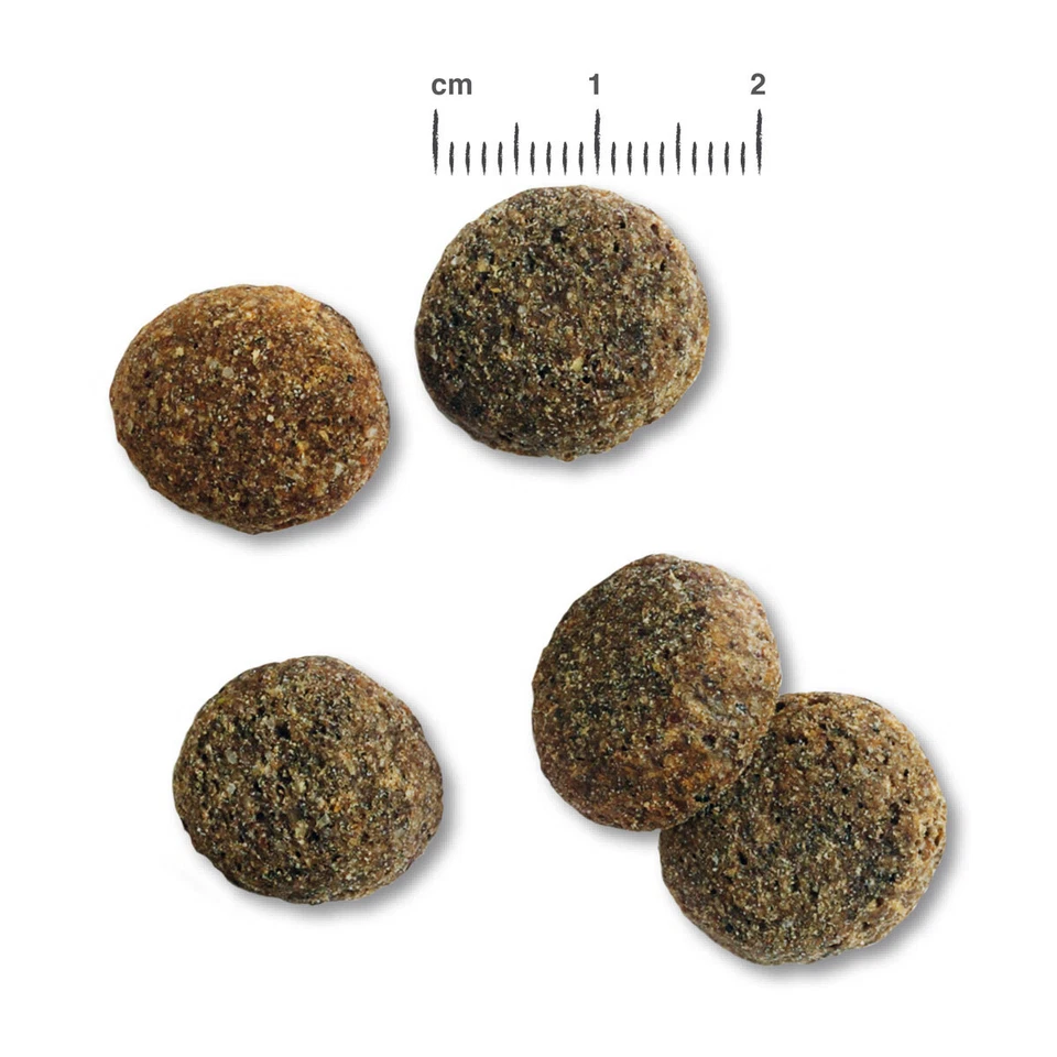 2 x 12,5 kg Belcando Senior Sensitive Trockenfutter Hundefutter Balance Hund - Bild 2 von 3