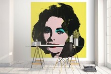 3D Graffiti Elizabeth Taylor Wallpaper Wall Mural Removable Self-adhesive 191