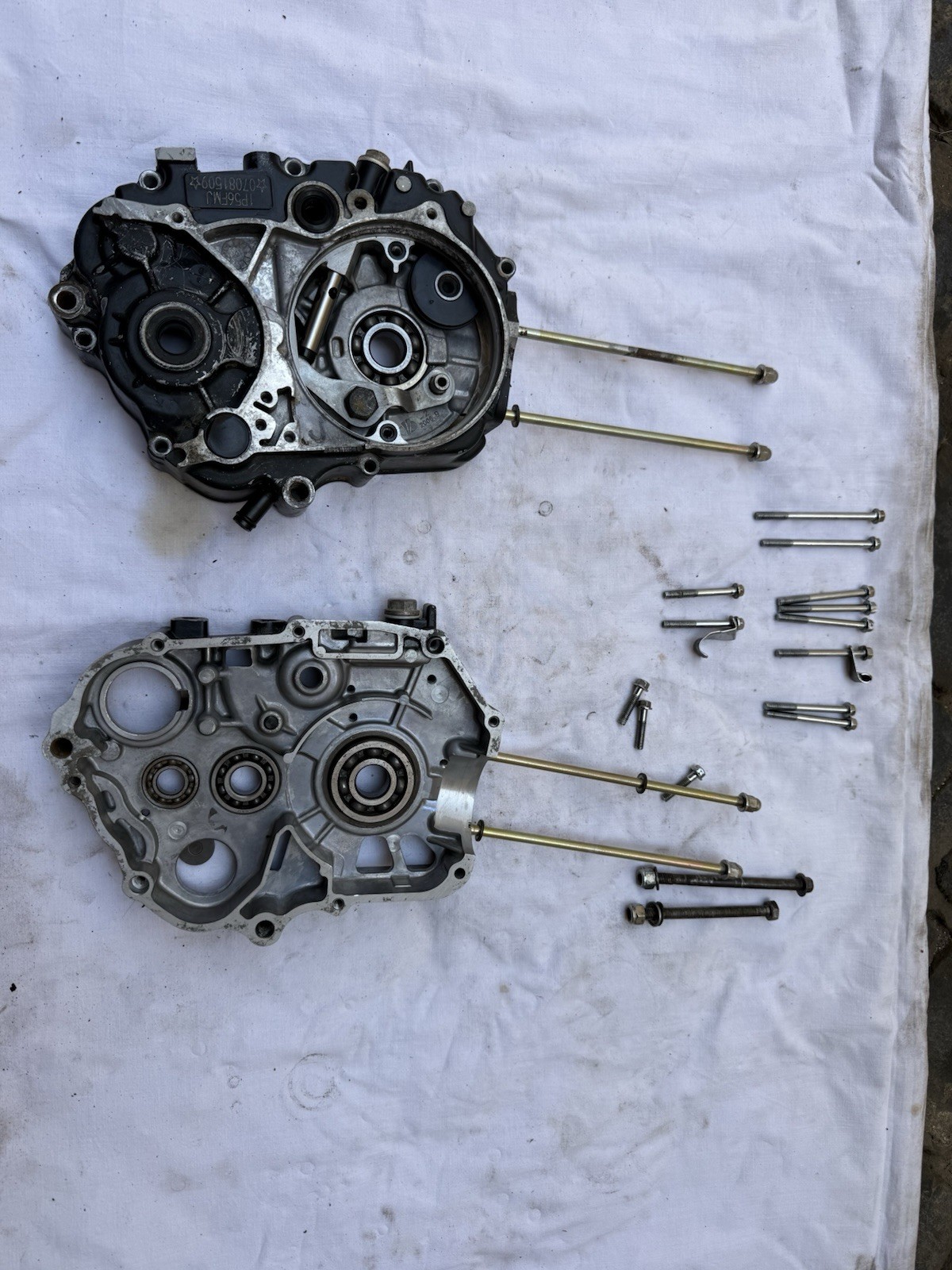 Carter Blocco motore Vuoto W T Motors - Pit Bike 125 cc- 4 Marce