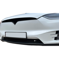 Tesla Model X – Unterer Grill, Schwarz (2016 -)