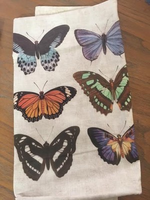 Pottery Barn Victoria Botanical Butterfly Lumbar Pillow Cover Only